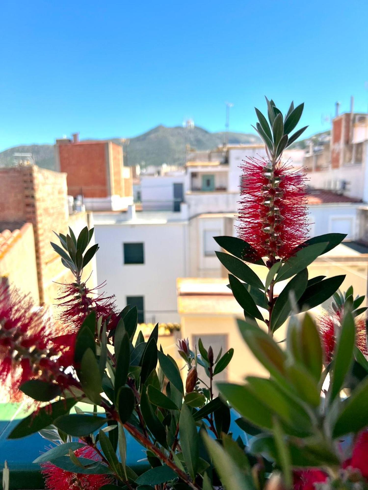Escondite Central Con Terraza Compartida En La Azotea Ρόζες Εξωτερικό φωτογραφία